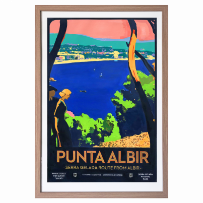 6 ALBIR digital frame copia